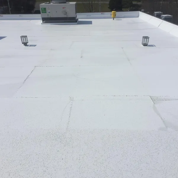 Thermoplastic-Polyolefin-Roofing-Systems Thermoplastic-Polyolefin-Roofing-Systems