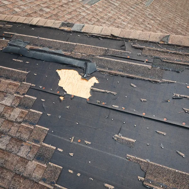 asphalt-shingle-weather-threat asphalt-shingle-weather-threat