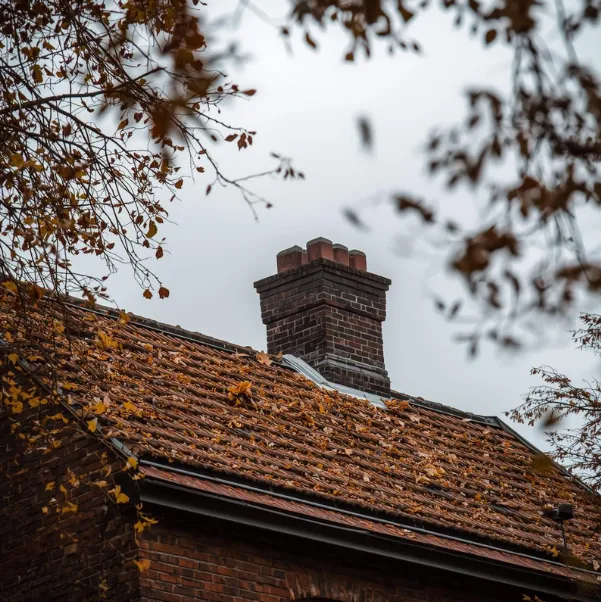 late-fall-early-spring late-fall-early-spring