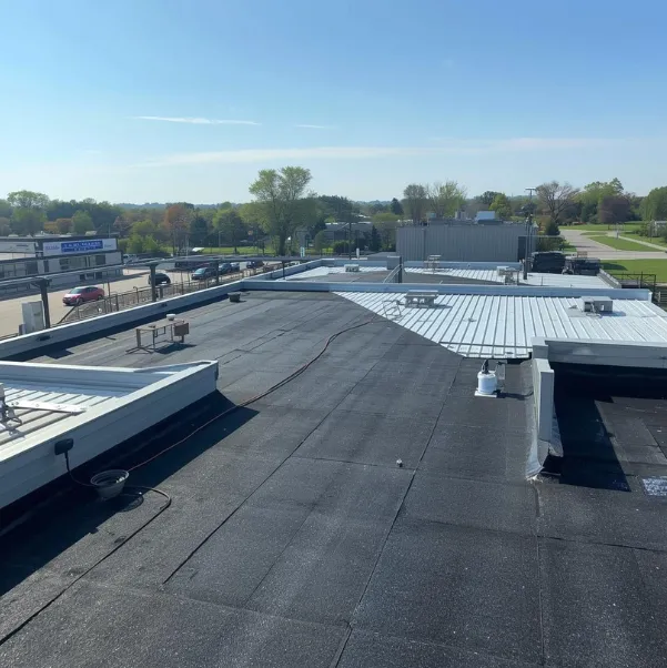 business-first business-first