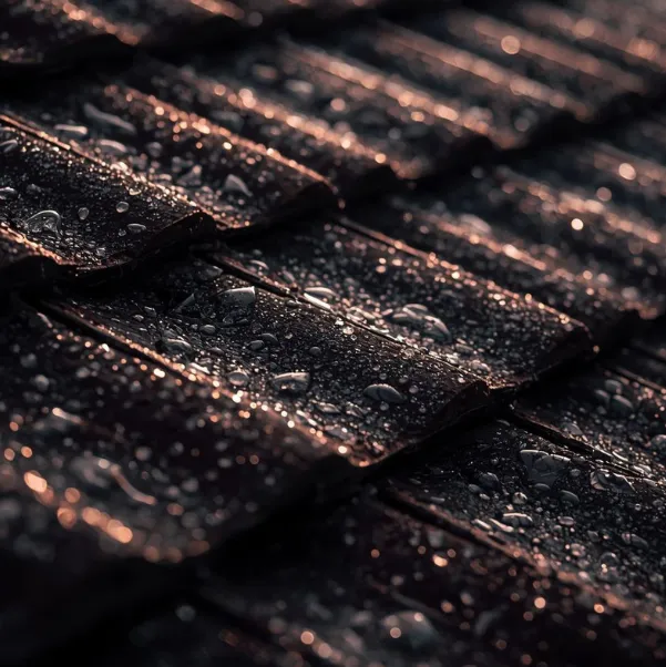 moisture-and-thermal-defense