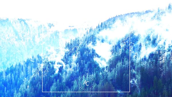 Tendances touristiques dans les Vosges 2024-2025 | Tourism Trends in the Vosges 2024-2025