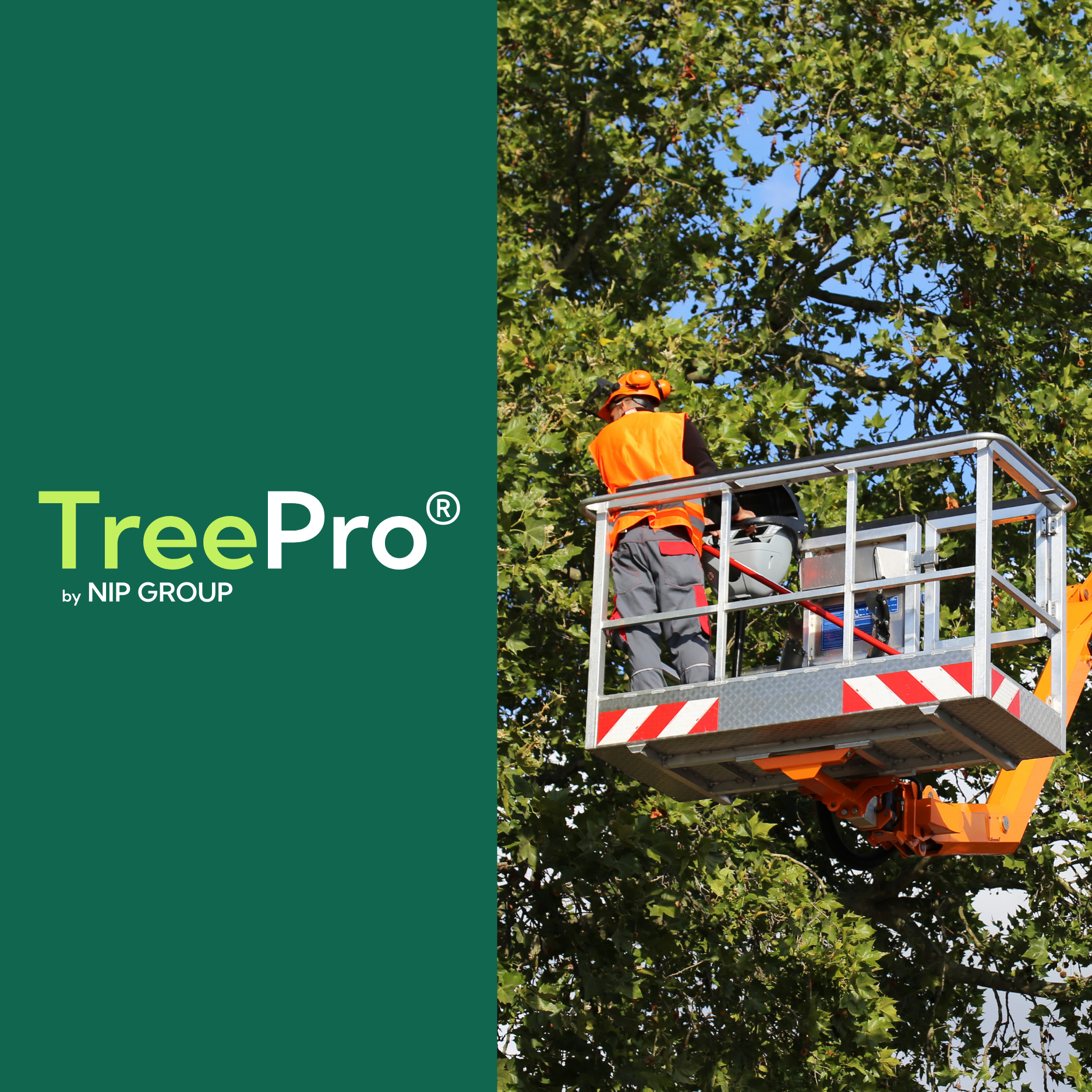 Tree Care Business Resources | Tools, Partners, and Support