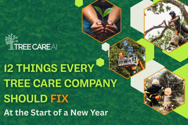 12 Things Every Tree Care Company Should Fix at the Start of a New Year