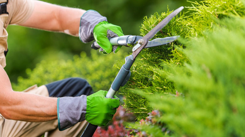 Landscapers