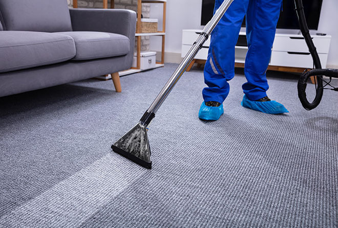 Floor & Carpet Cleaners