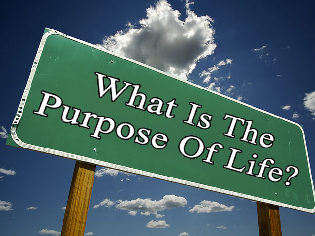 What is the purpose of life?