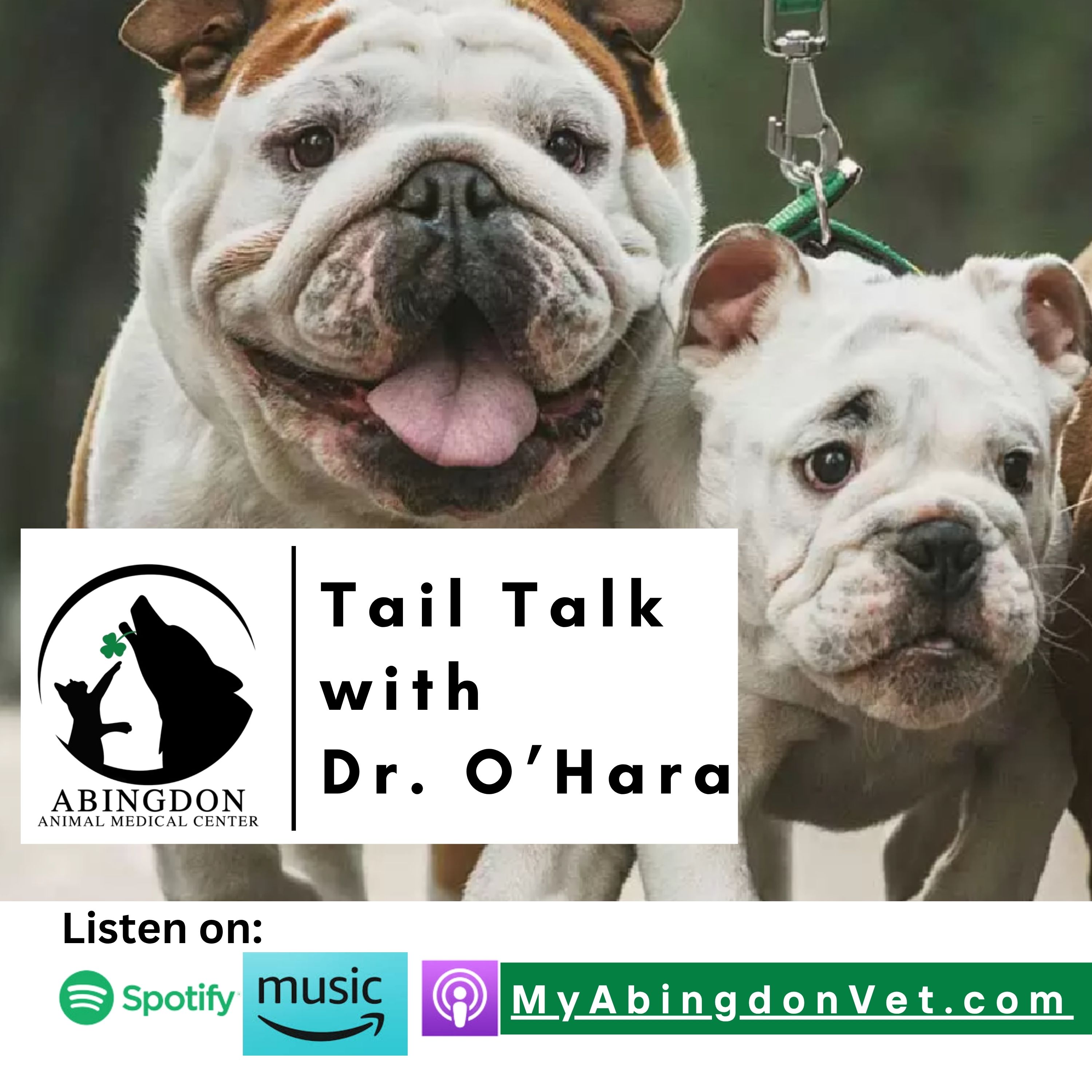Rooted in Heart: Dr. O’Hara’s Mission to Build Community Through Compassionate Veterinary Care