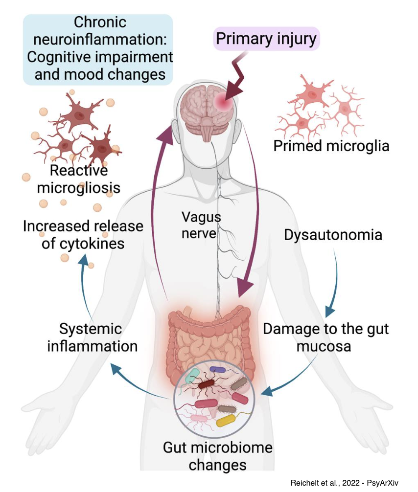 Persistent Concussion Symptoms Persistent Concussion Symptoms