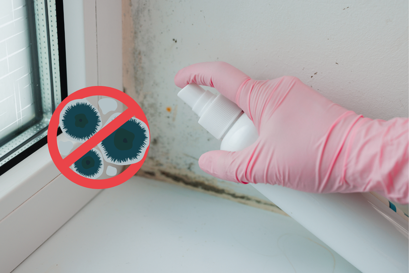 Managing Mold and Mildew Managing Mold and Mildew