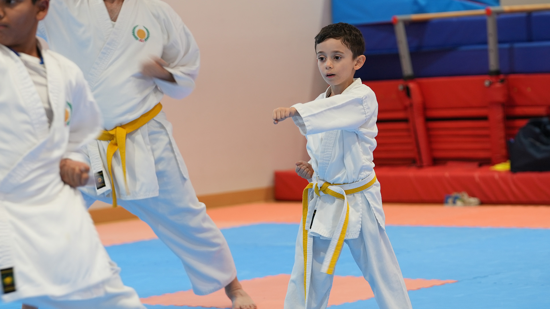 karate