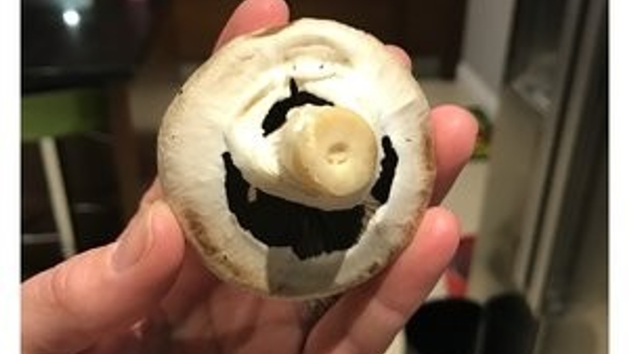 How this fun guy changed my perspective