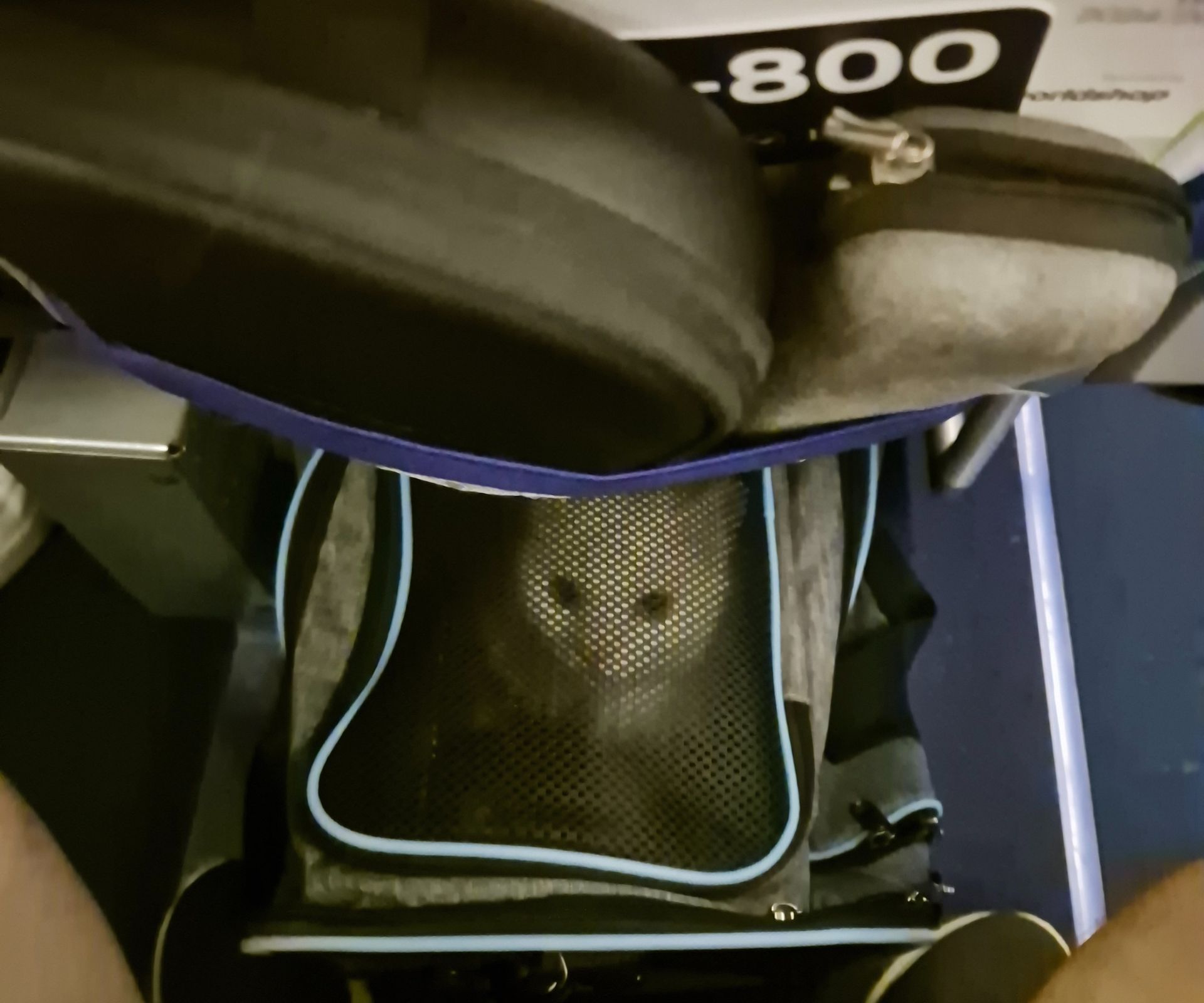 White cat in travel case under seat on plane White cat in travel case under seat on plane