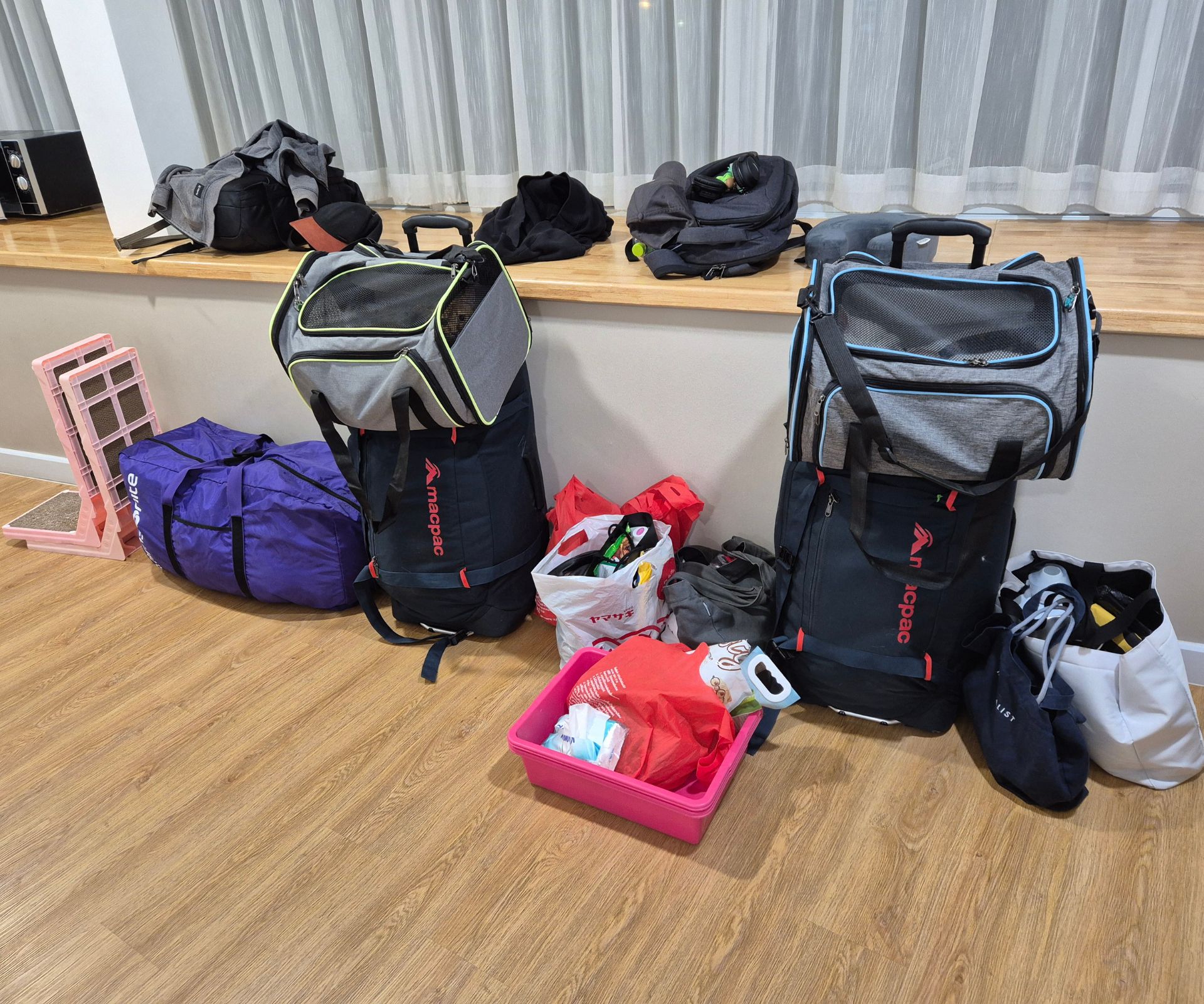 Bags and cat equipment like litter trays, scratching posts etc in an apartment. Bags and cat equipment like litter trays, scratching posts etc in an apartment.