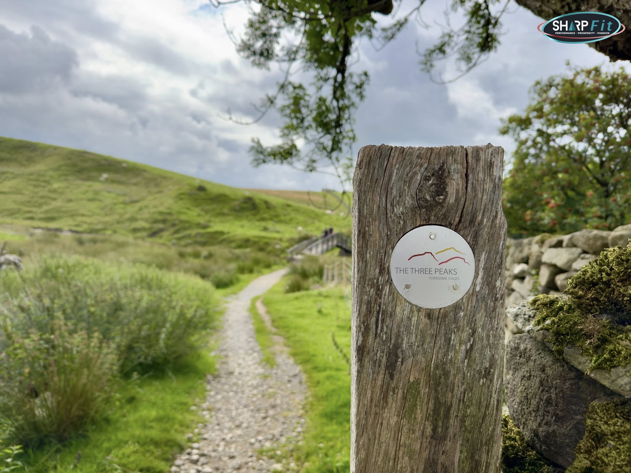 Yorkshire 3 Peaks logo Yorkshire 3 Peaks logo