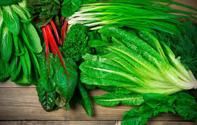 leafy green leafy green