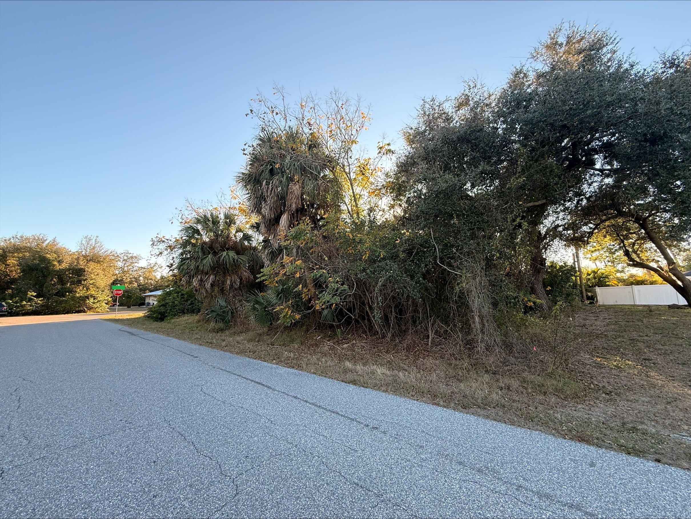 Lot View 4