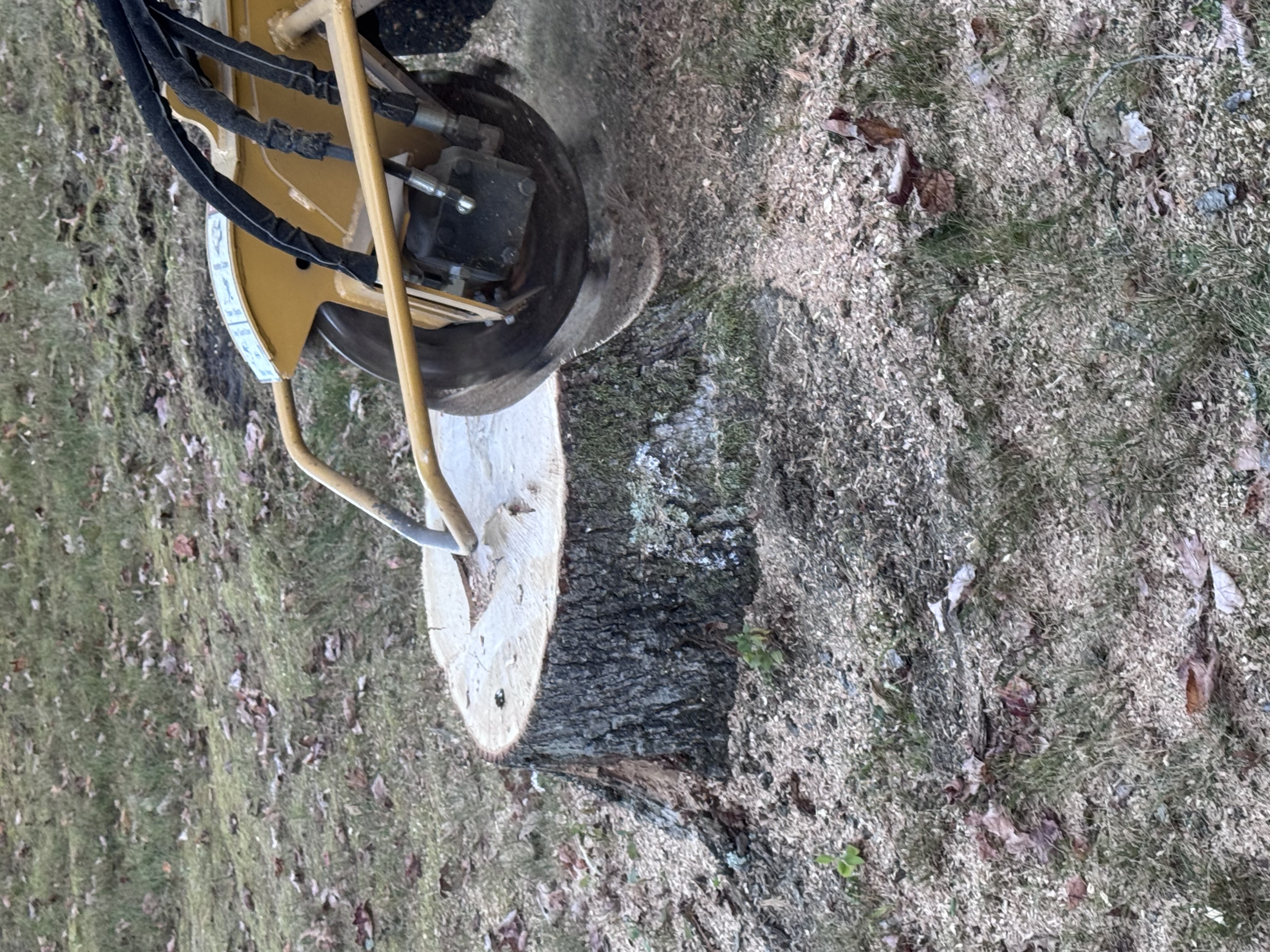 Complete Stump Grinding Service