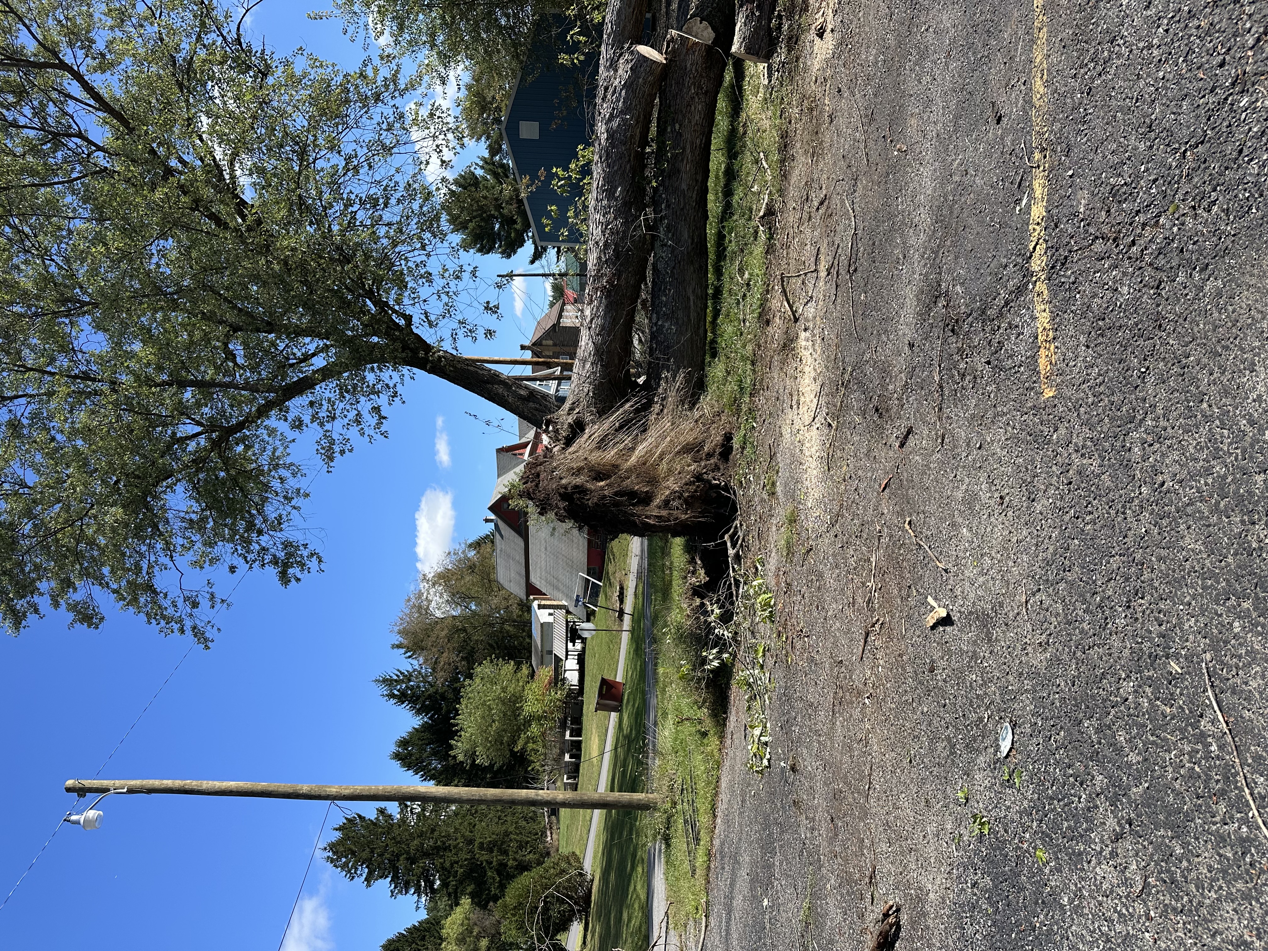 Storm Damage Response Service