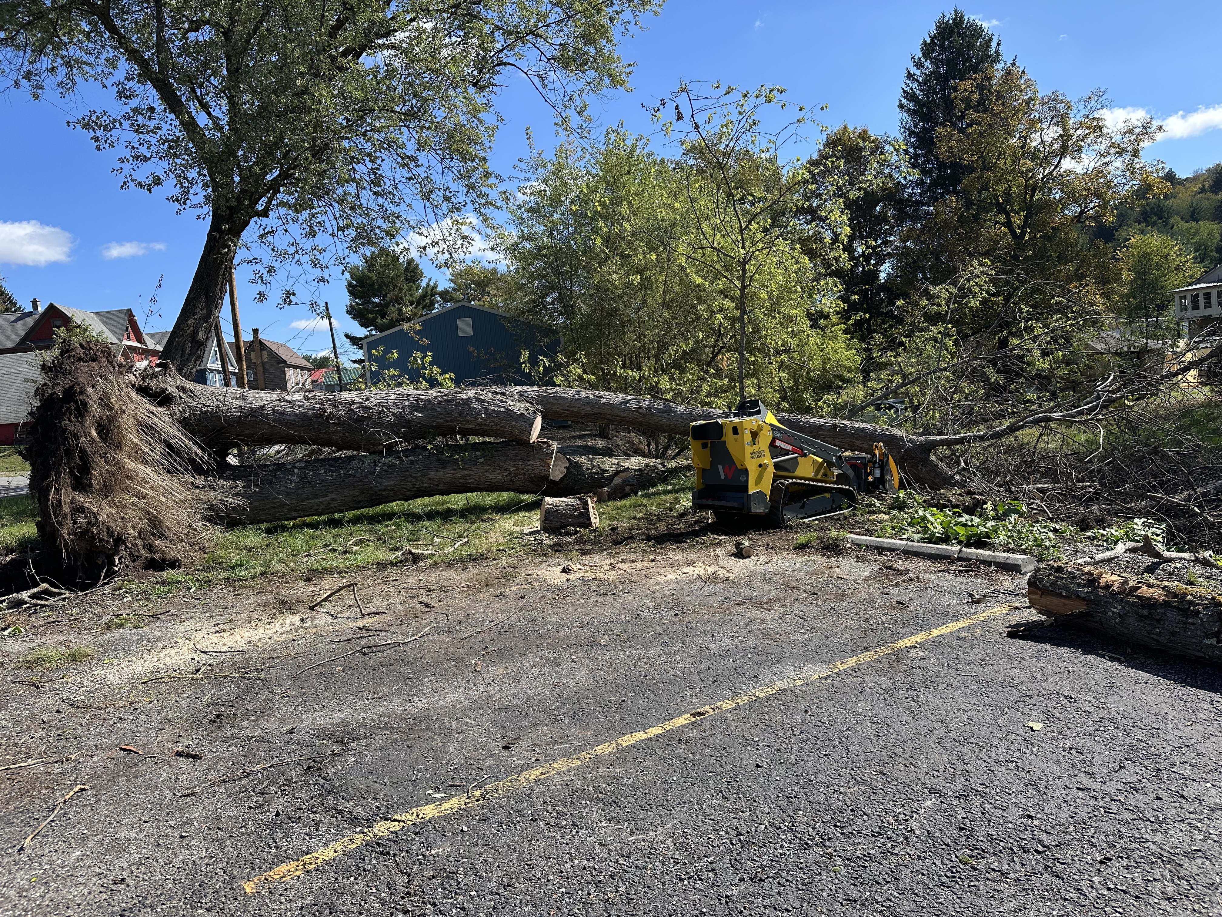 Emergency Tree Removal Service