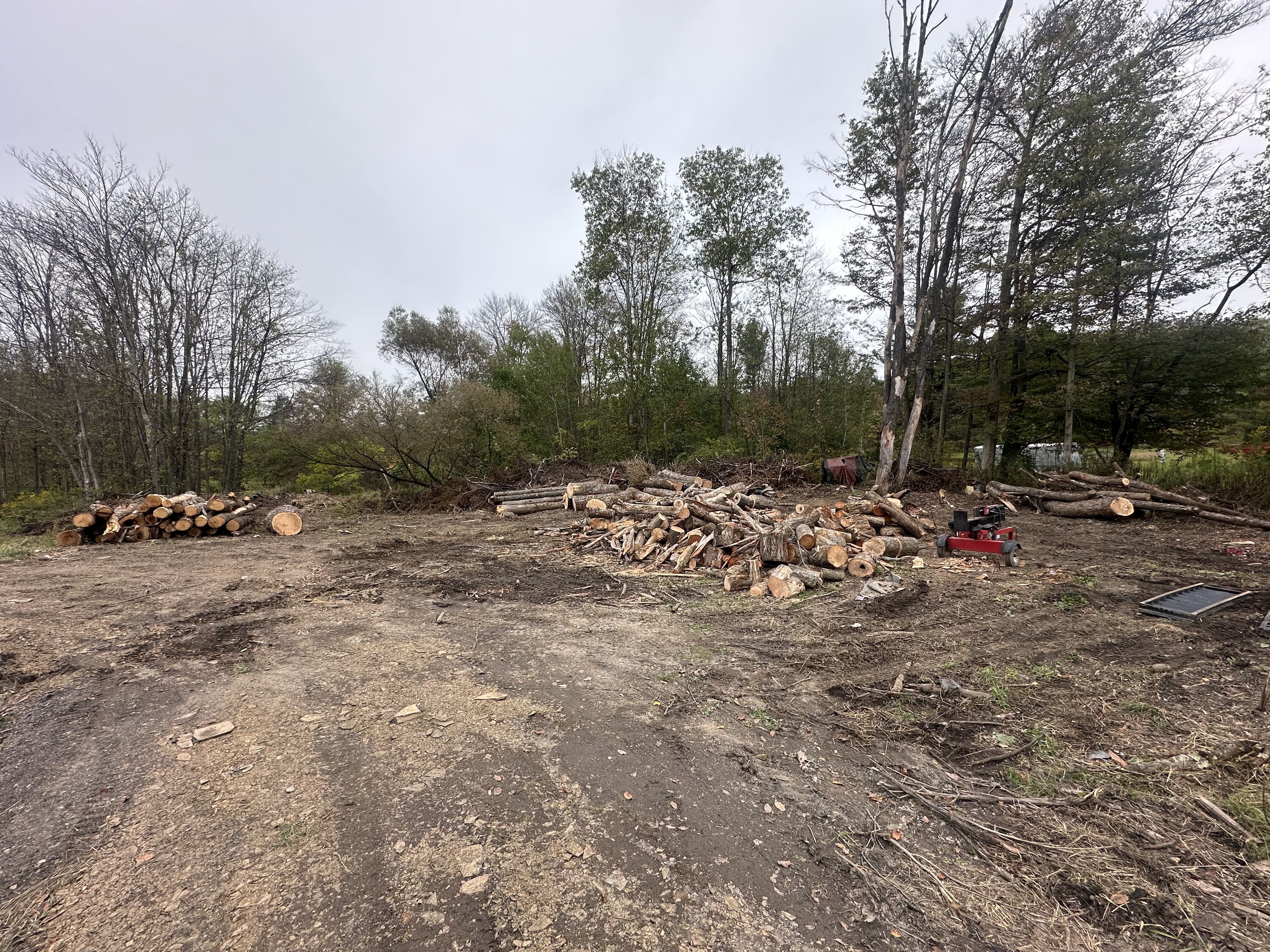 Land Clearing Service