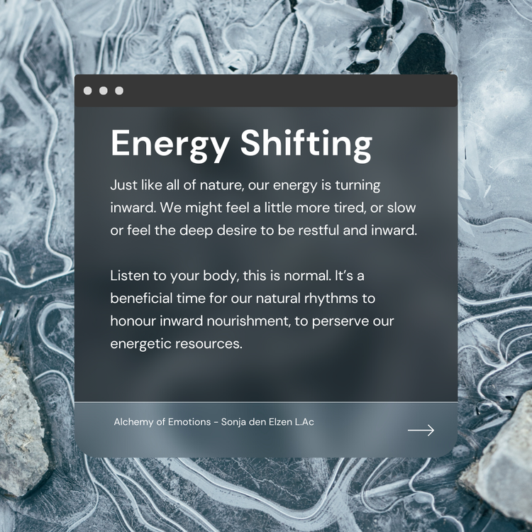 Tuning into what energetics the seasons are guiding us through, allows us to harmonize with our natural vitality and the rhythms and cycles of nature. I find winter time to be so sacred, I feel my body turning inwards and wanting to nourish my essence on a deep, slow, mindful manner.  