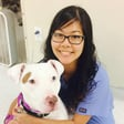Kimi S. - Professional Pet Sitter