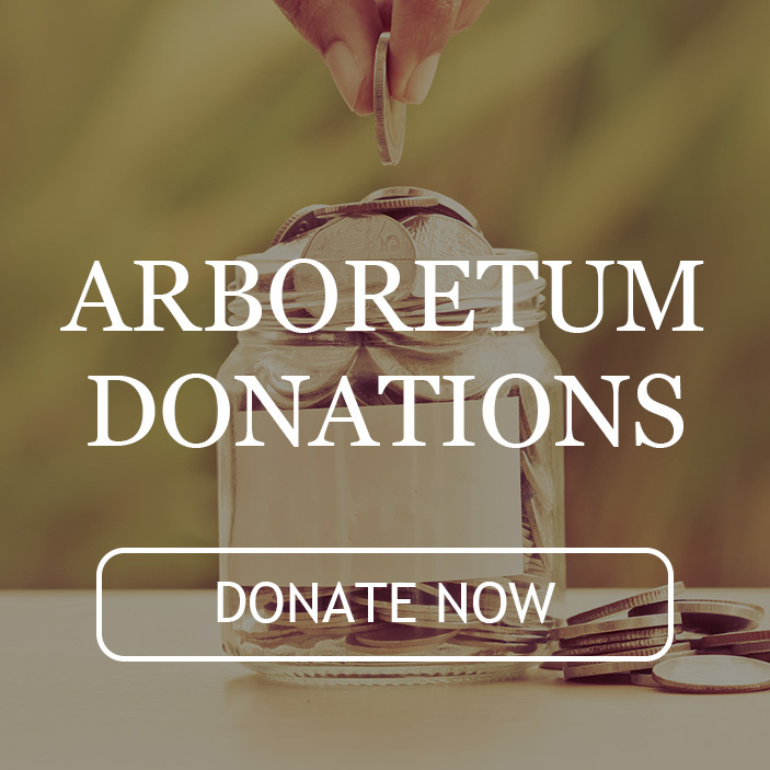 Arboretum Donations | Learn More