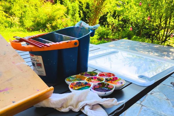 paint in the garden paint in the garden