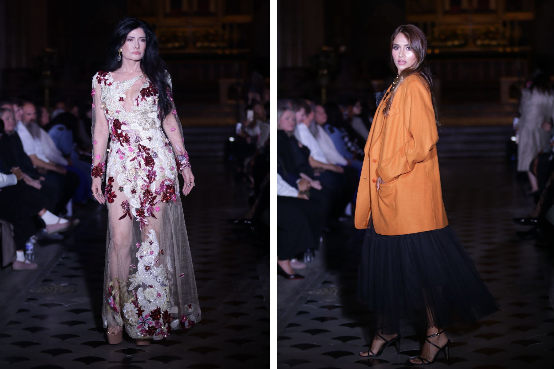 desunia collexion desunia collexion