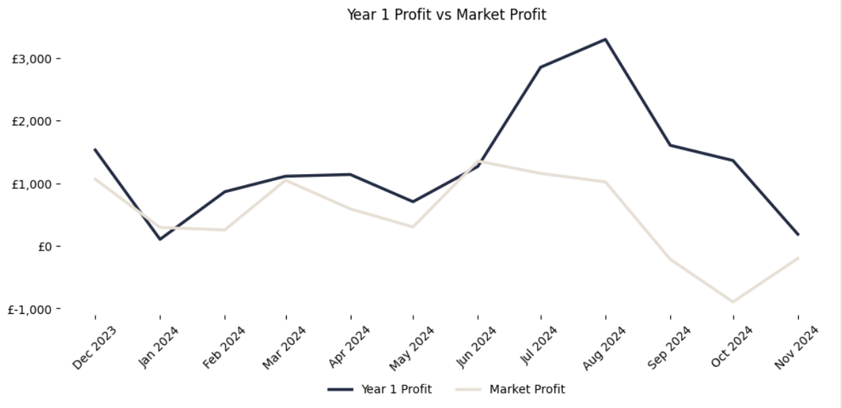 Year 1 profit graph