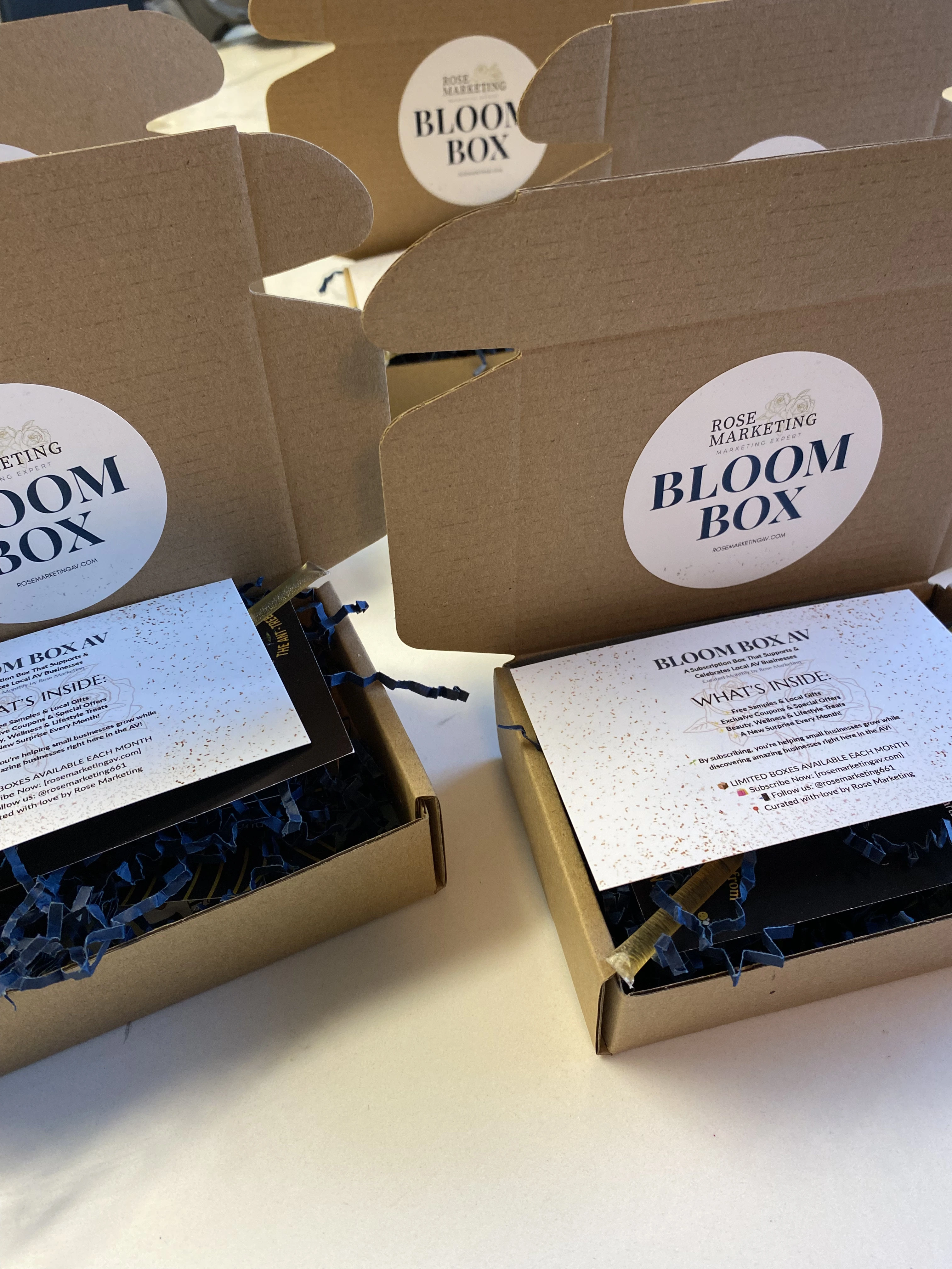 Bloom Box AV Preview