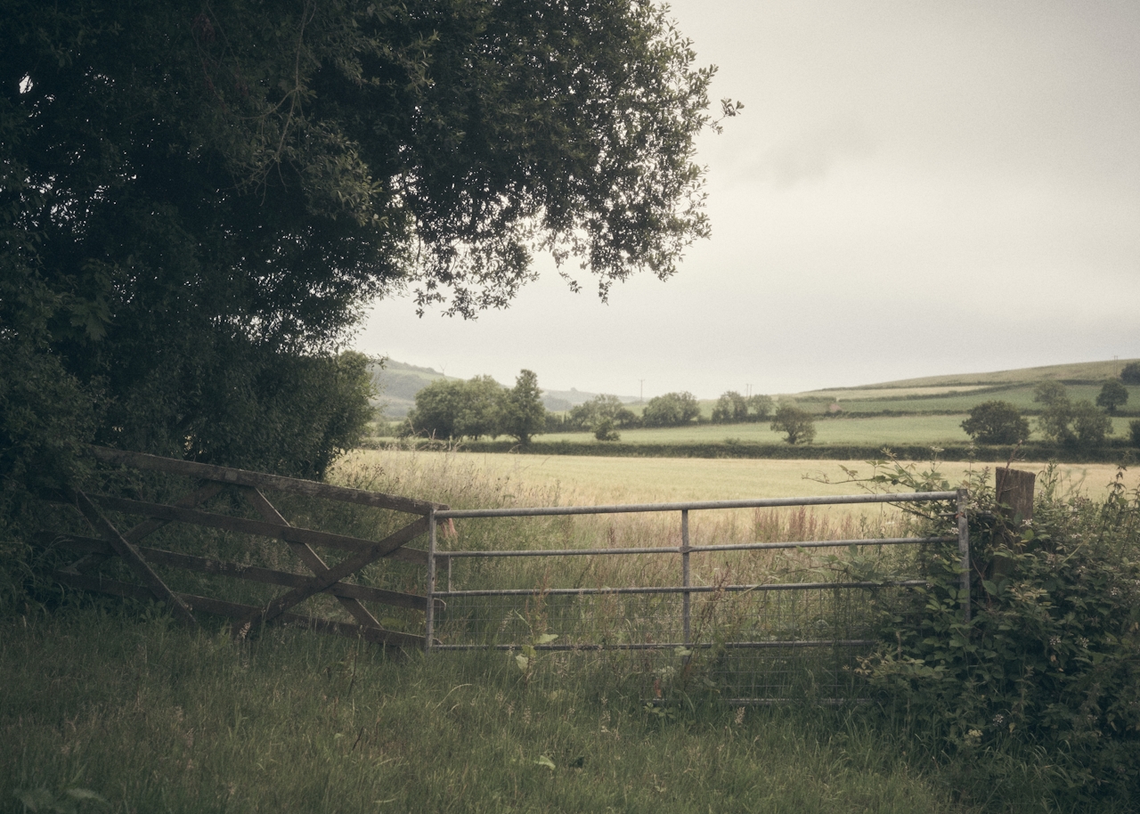 a wire fence in an open field a wire fence in an open field