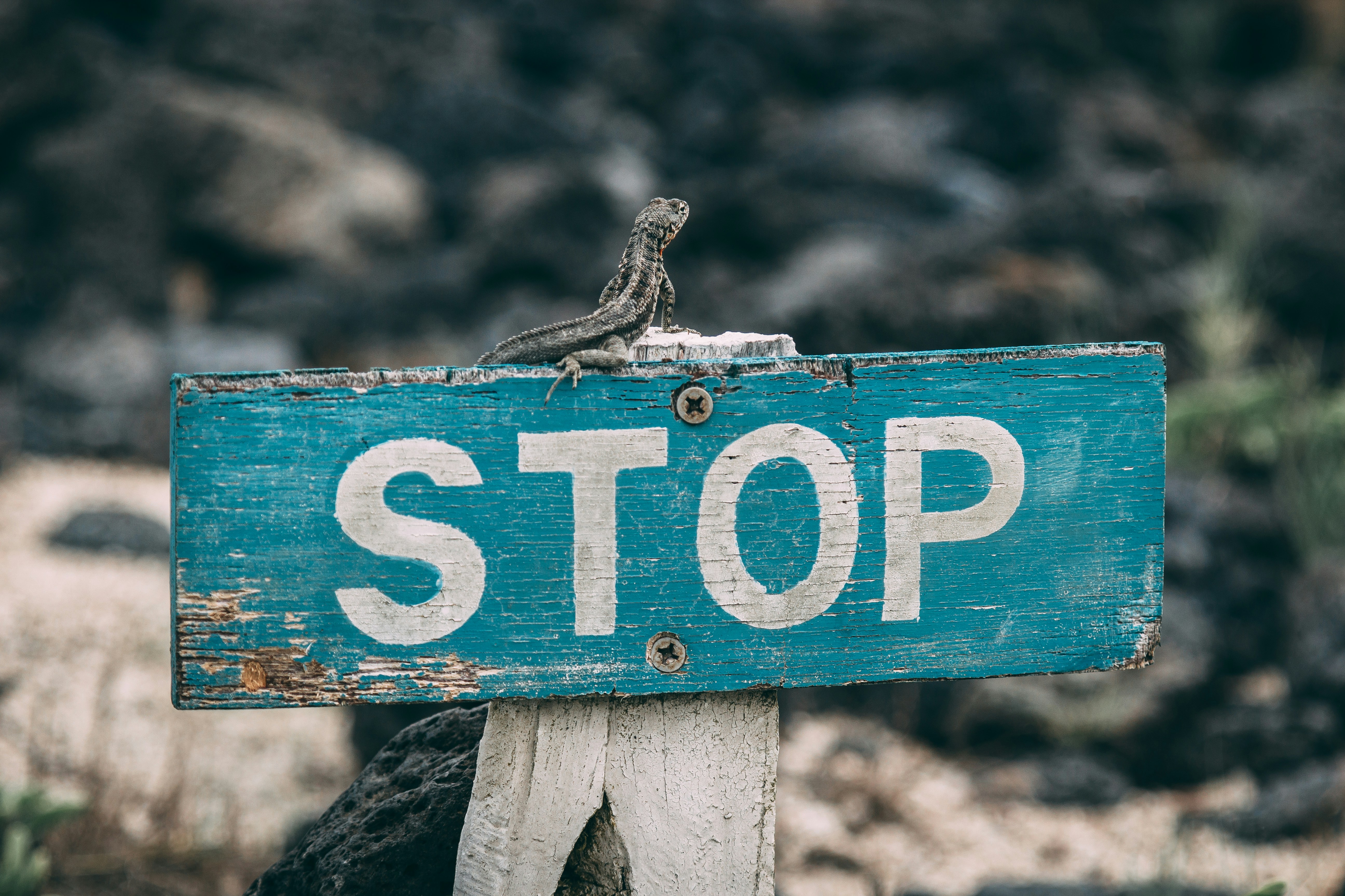 stop sign stop sign