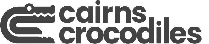 Pippa Chambers business logo