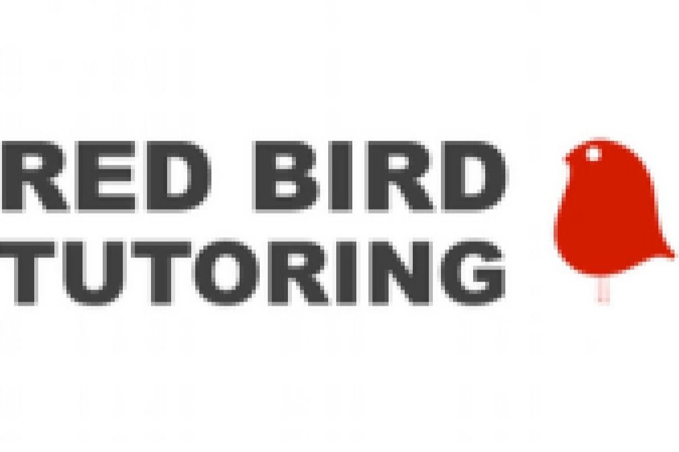 Sue Michaels business logo