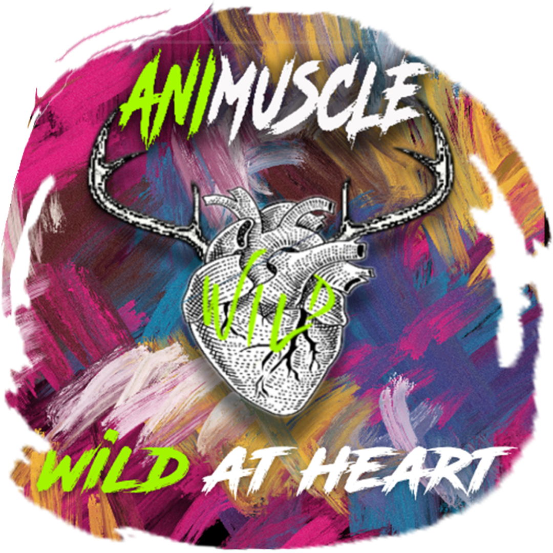 Animuscle online coaching 