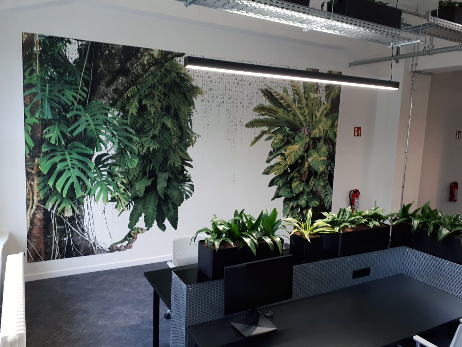 mural