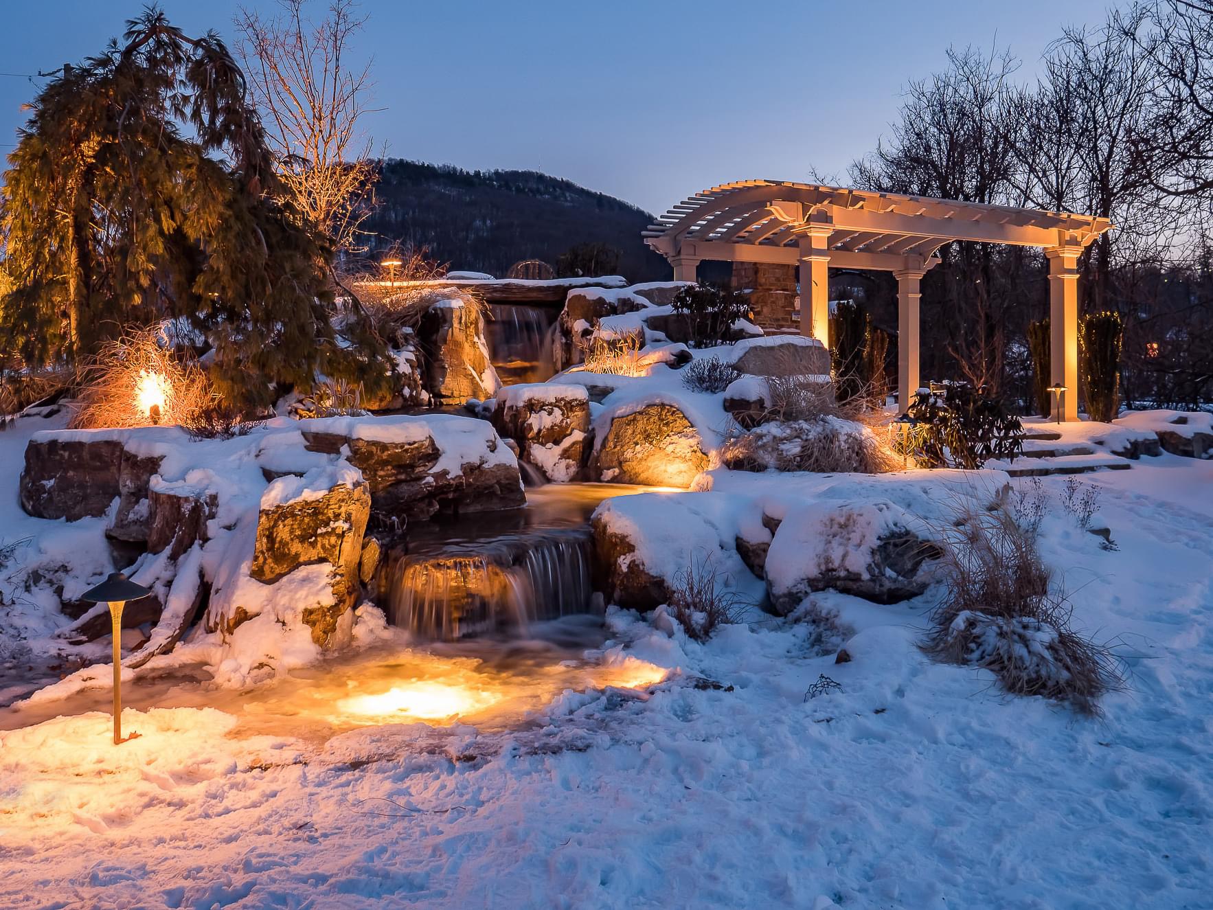 Proud Ponds Experts Proud Ponds Experts