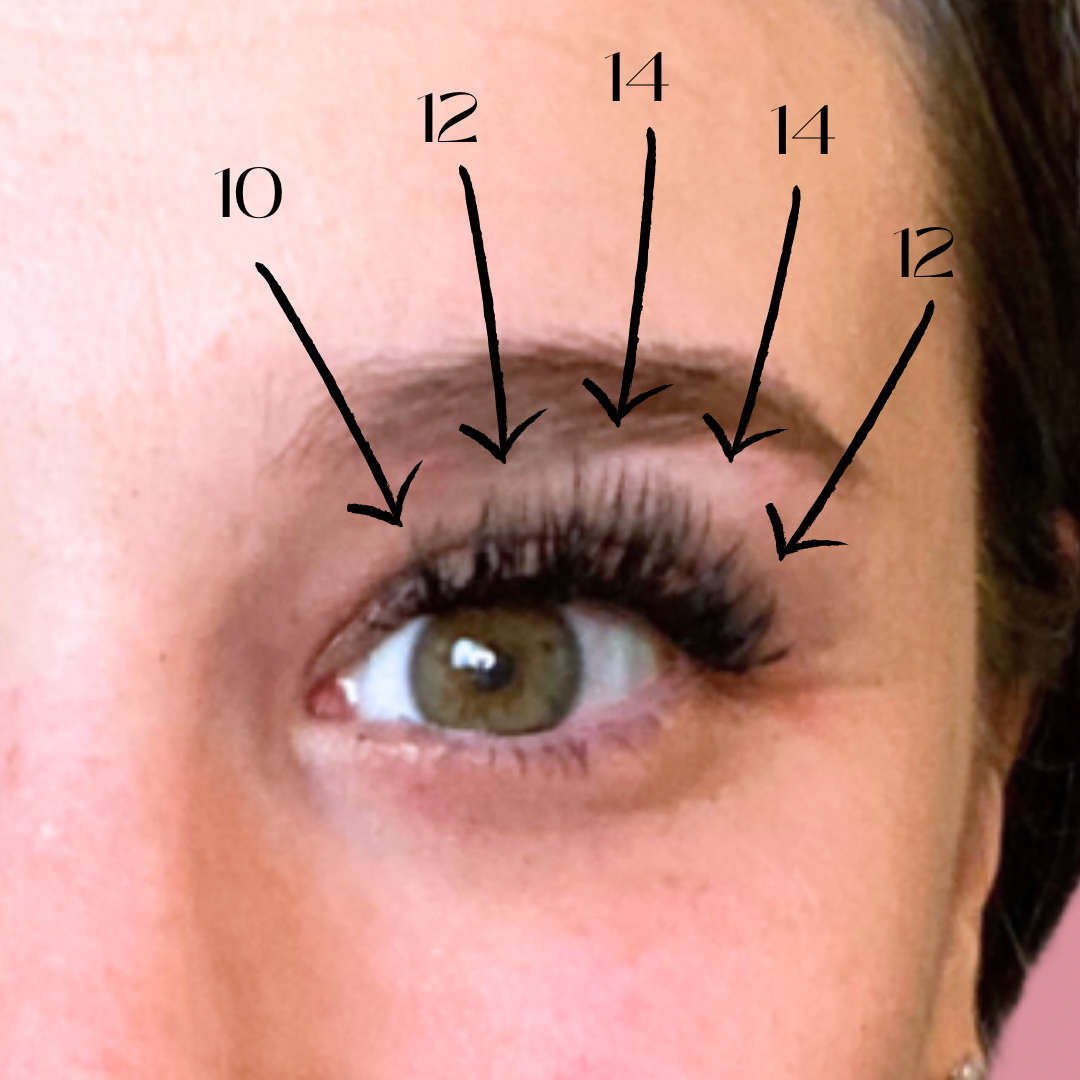 Close up of Bold Lashes Close up of Bold Lashes