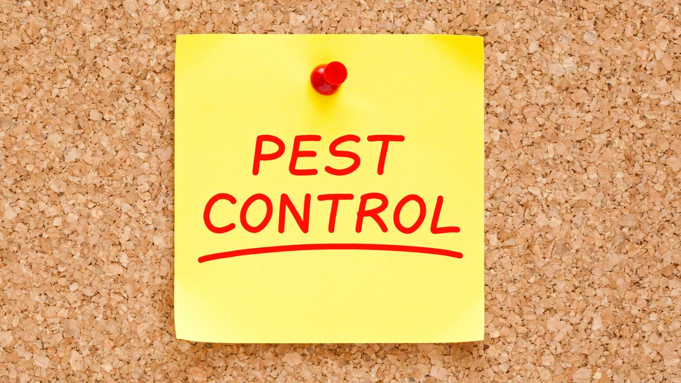 pest control marketing