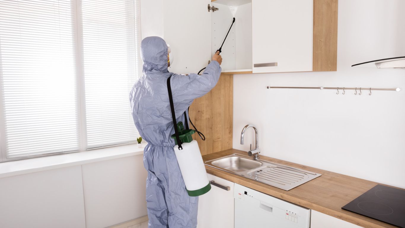 Pest Control Business Spray Man 