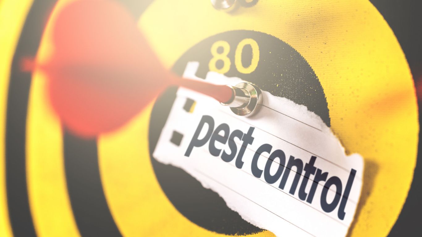 Pest Control Business Dart