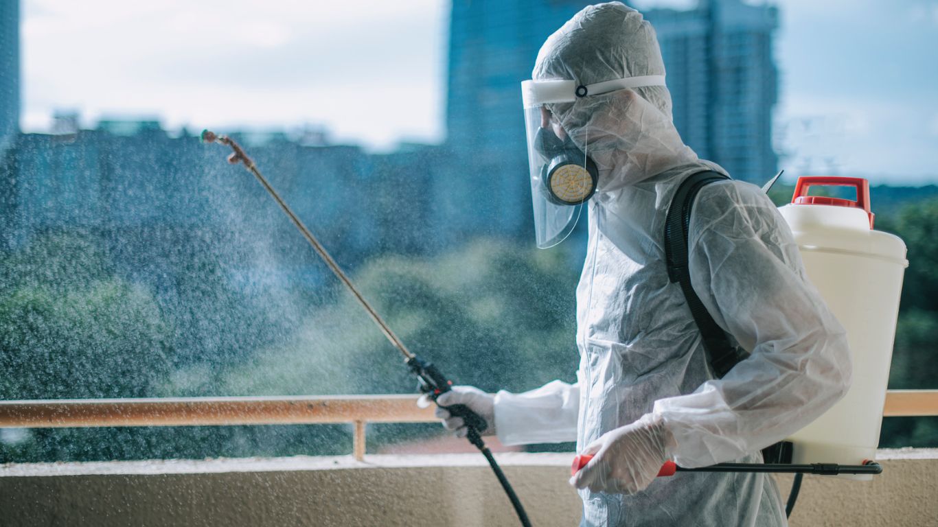 Pest Control Business High Skyscraper 