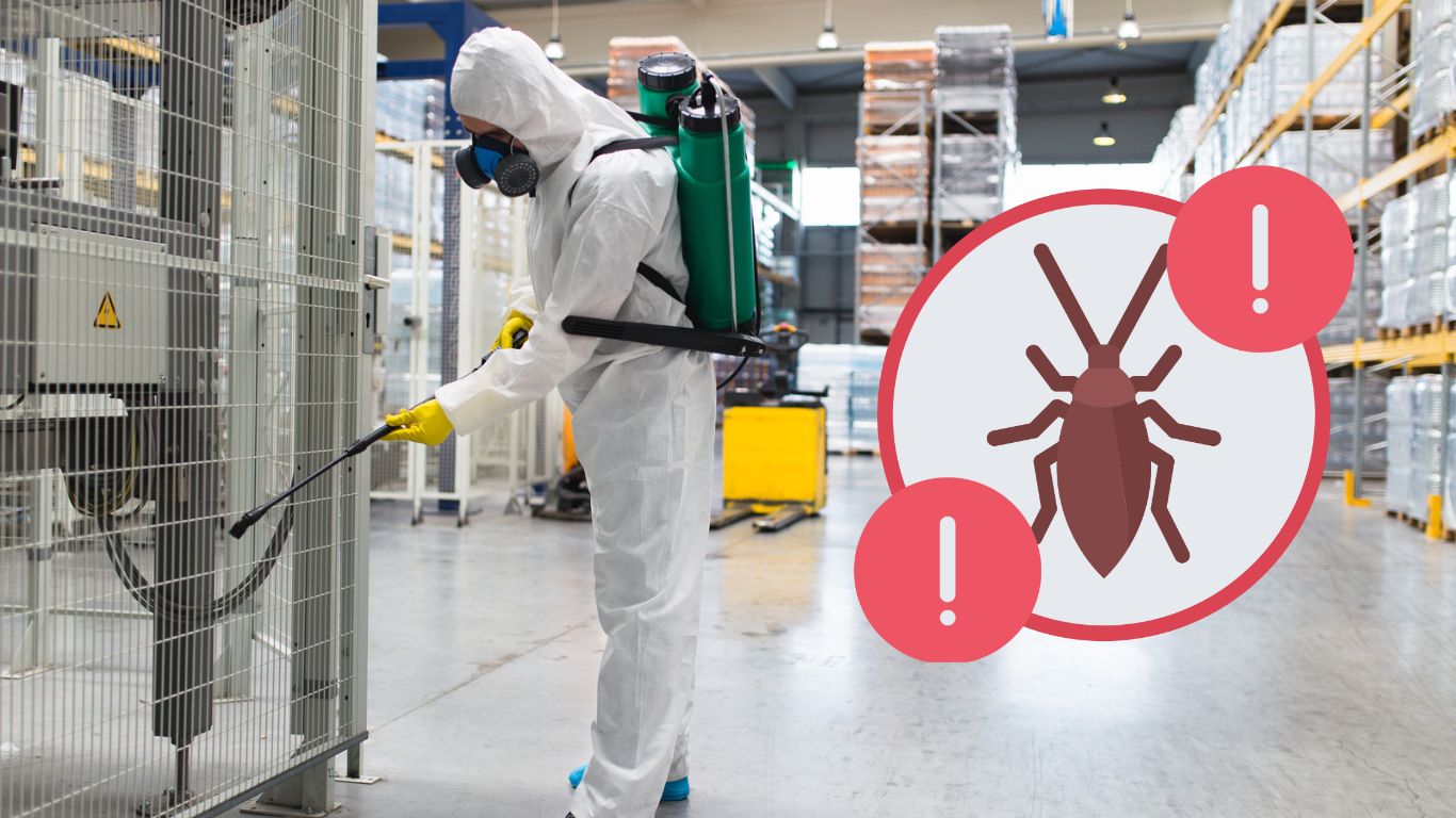 Pest Control Business Anti Cockroach In The Building