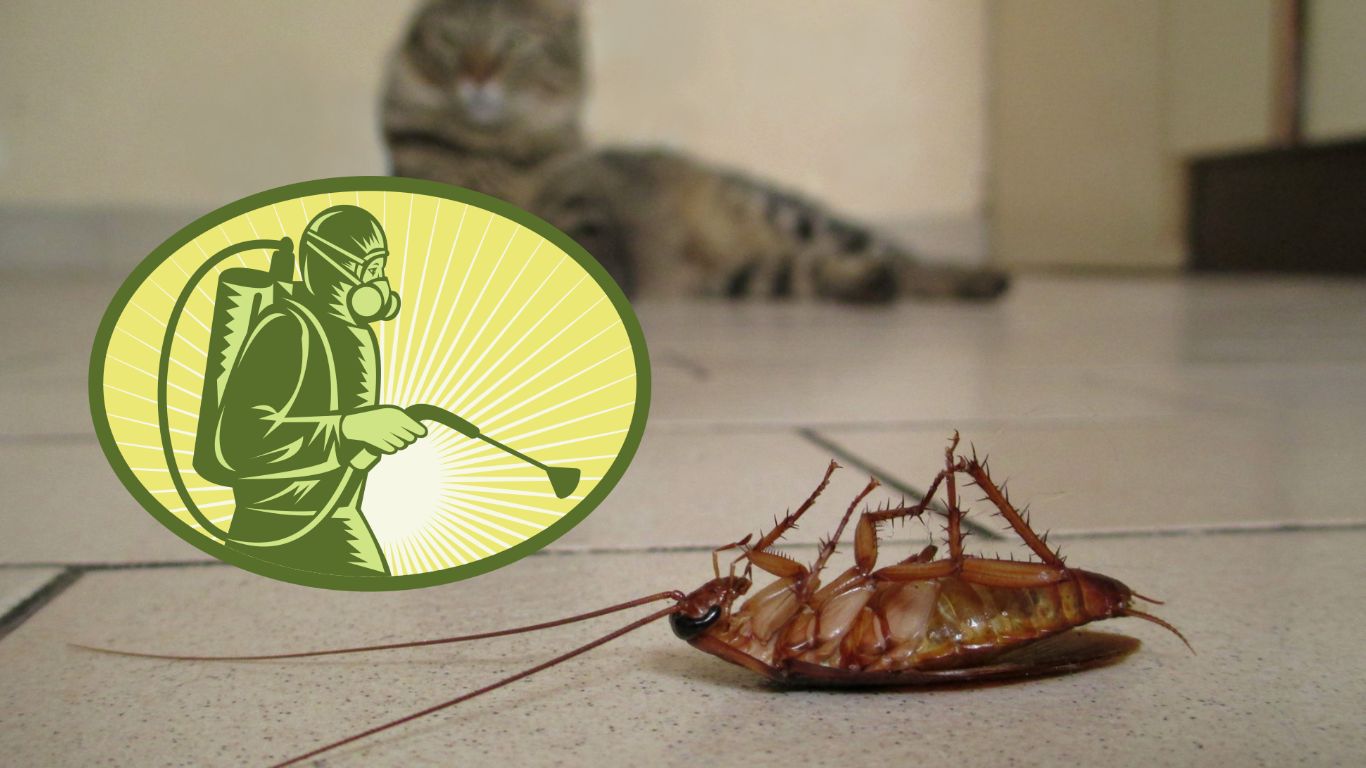 Pest Control Business Anti Cockroach 