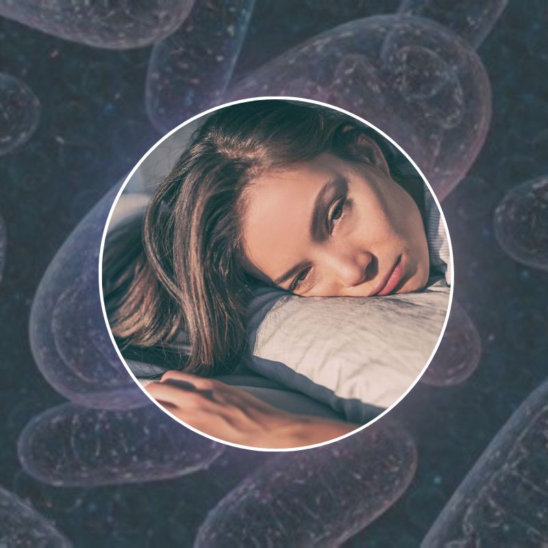What Is Insulin Resistance And What Can We Do About It