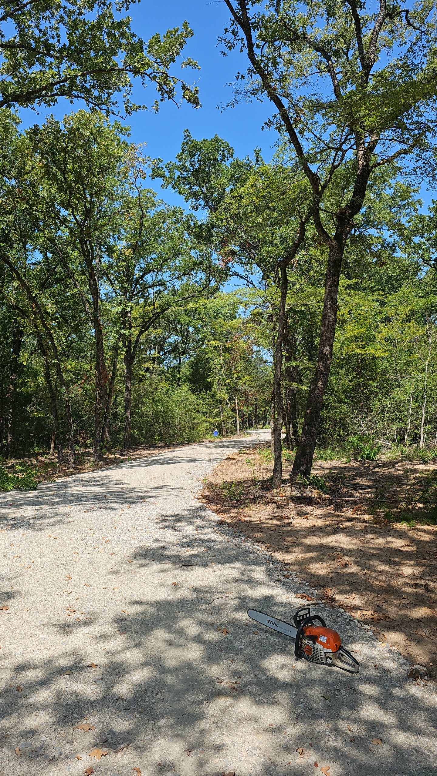 5-Acre Homesite Clearing