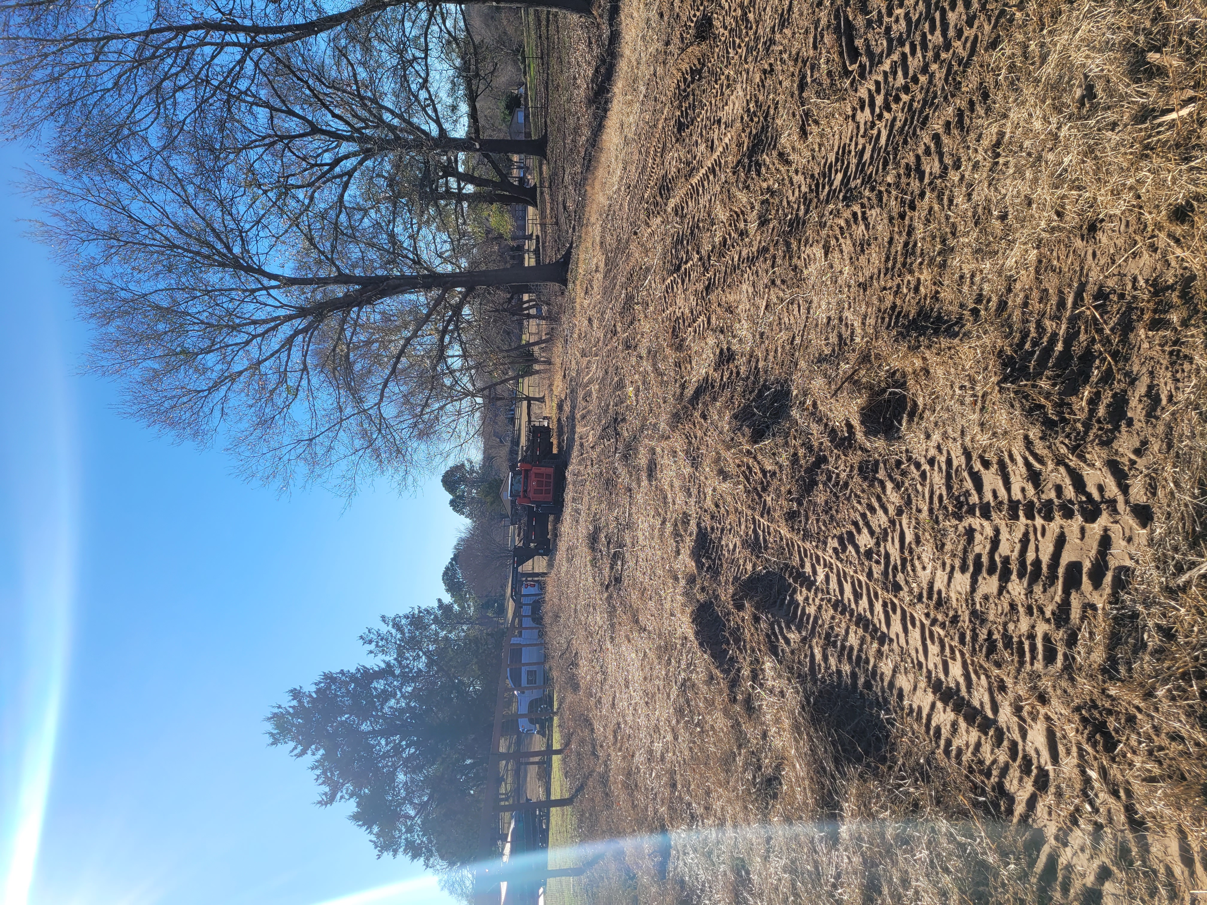 Forestry Mulching Project