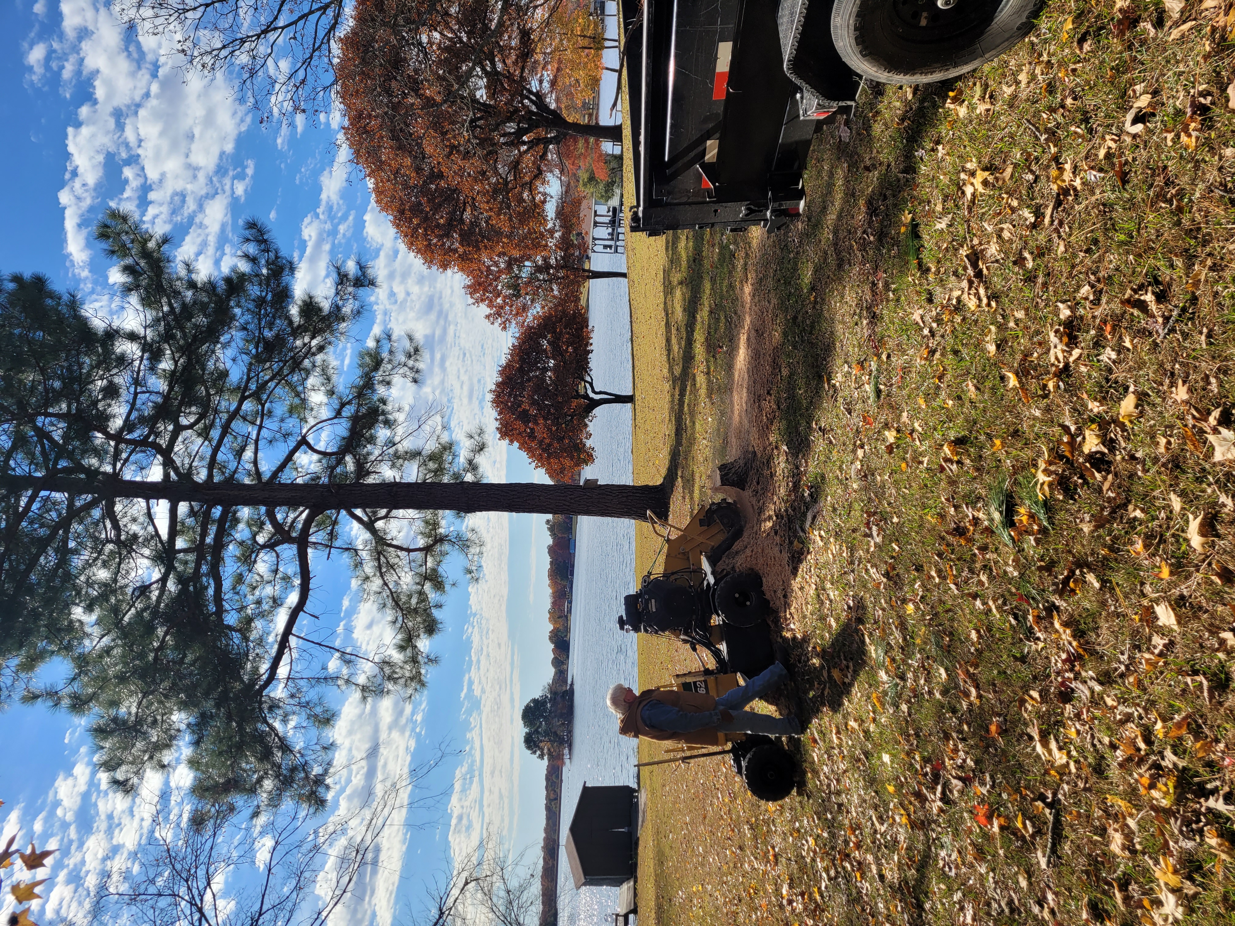 Land Clearing